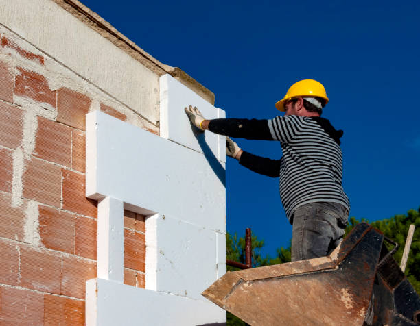 Best Wall Insulation Contractor  in Ash Grove, MO