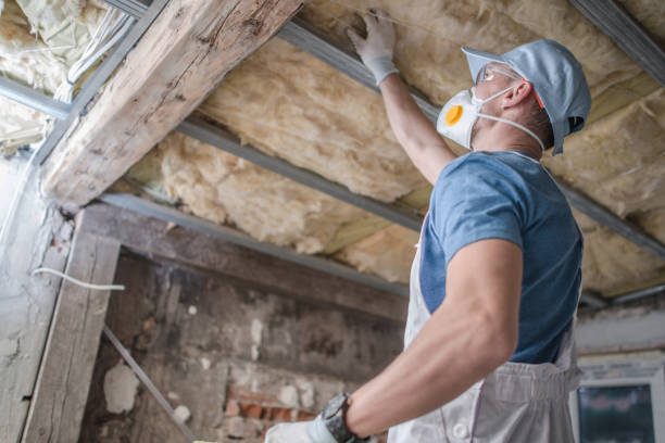 Best Insulation Contractors for Homes  in Ash Grove, MO