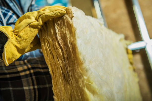 Best Spray Foam Insulation  in Ash Grove, MO