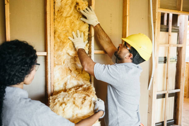Best Insulation Replacement Services  in Ash Grove, MO