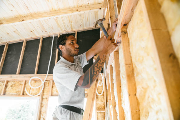 Best Commercial Insulation Contractor  in Ash Grove, MO