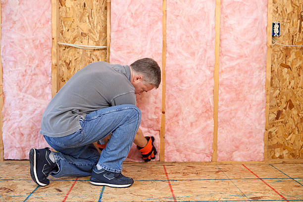 Best Attic Insulation Installation  in Ash Grove, MO