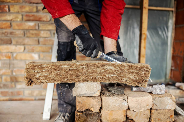 Best Insulation Replacement Services  in Ash Grove, MO