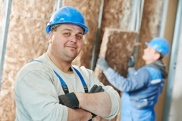 Best Insulation Repair Services  in Ash Grove, MO